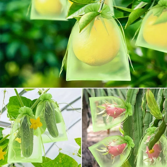 100Pcs Fruit Protection Bags Mesh Garden Barrier for Pest Control