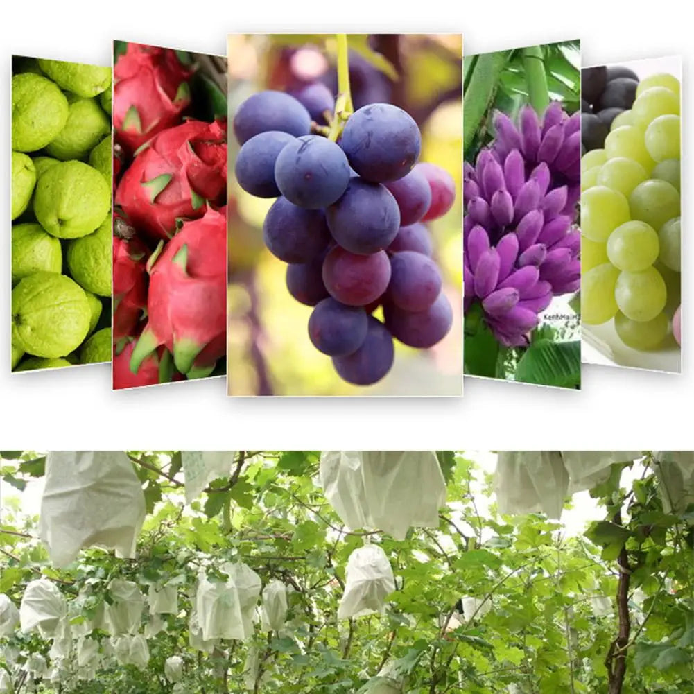 Protective Non-Woven Fruit and Vegetable Garden Bags - 17