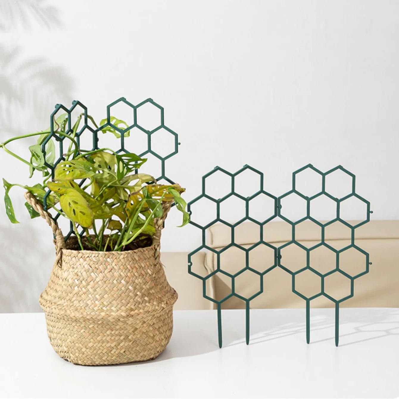 Honeycomb Trellis for Climbing Plants and Flowers - 3