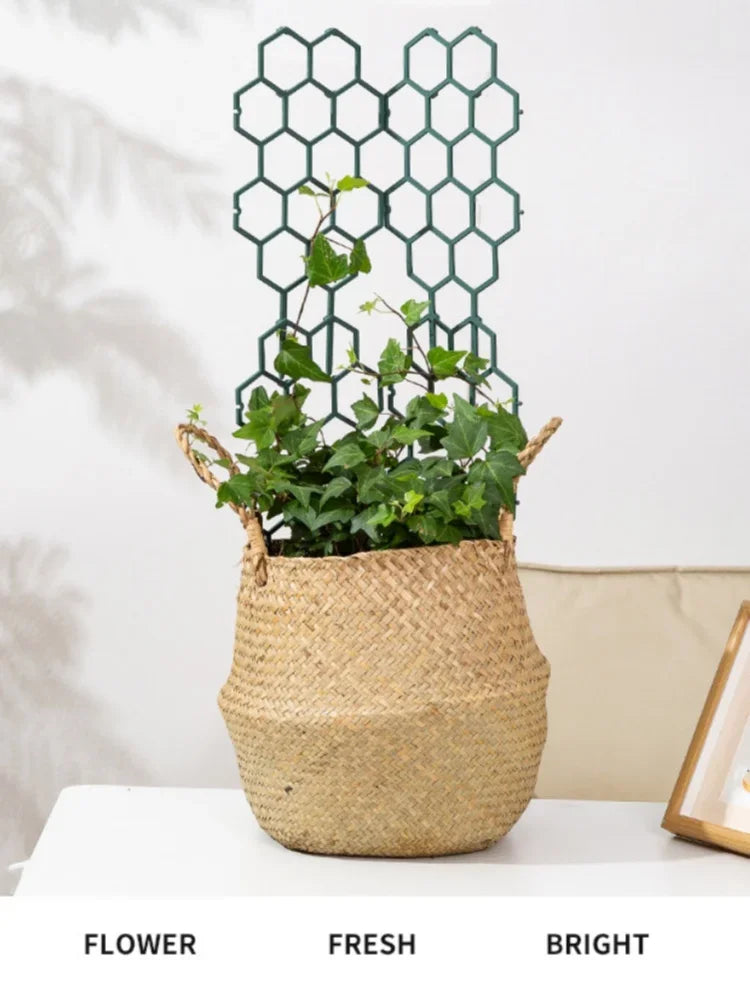 Honeycomb Trellis for Climbing Plants and Flowers - 9