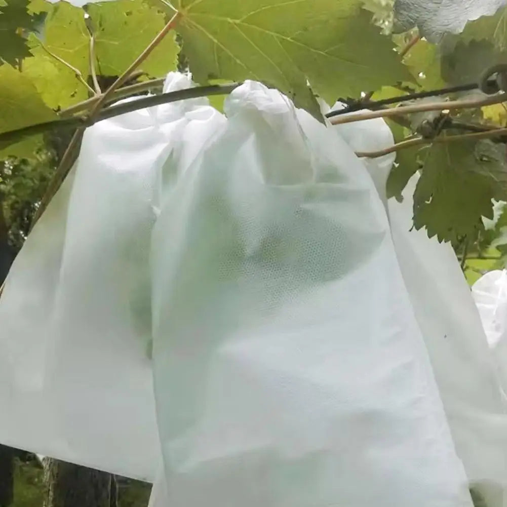 Protective Non-Woven Fruit and Vegetable Garden Bags - 13