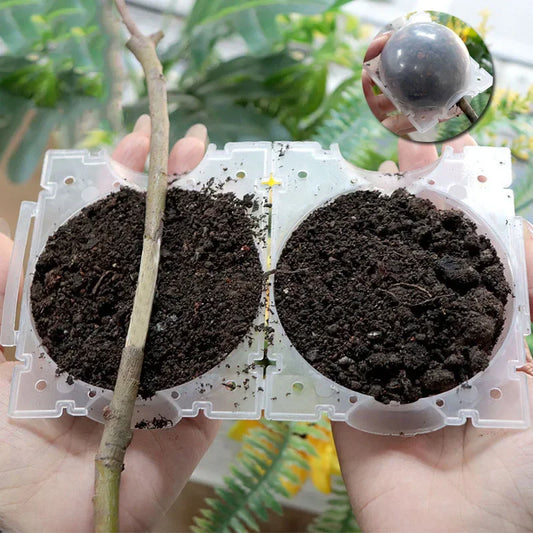 Plant Propagation Air Layering Rooting Device for Gardening
