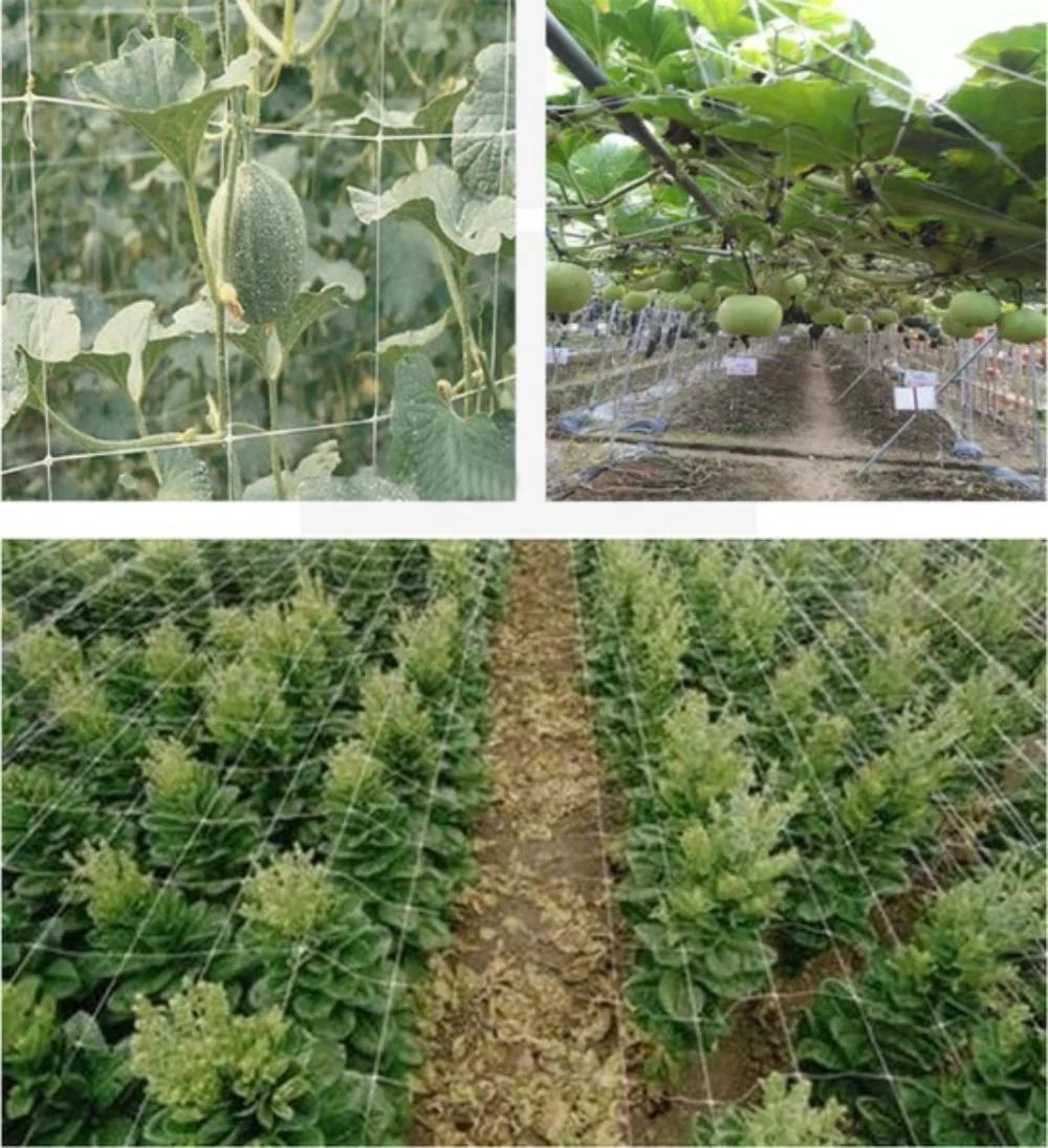 Heavy-Duty Polyester Garden Trellis Netting for Climbing Plants
