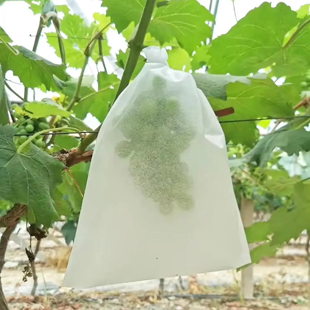 Protective Non-Woven Fruit and Vegetable Garden Bags