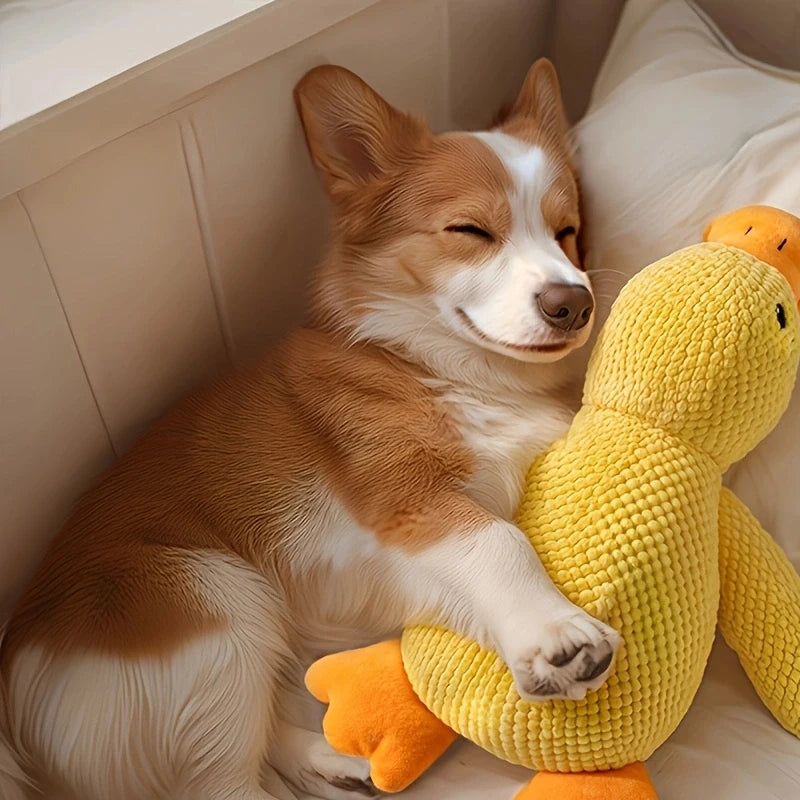 Calming Plush Duck Toy for Dogs