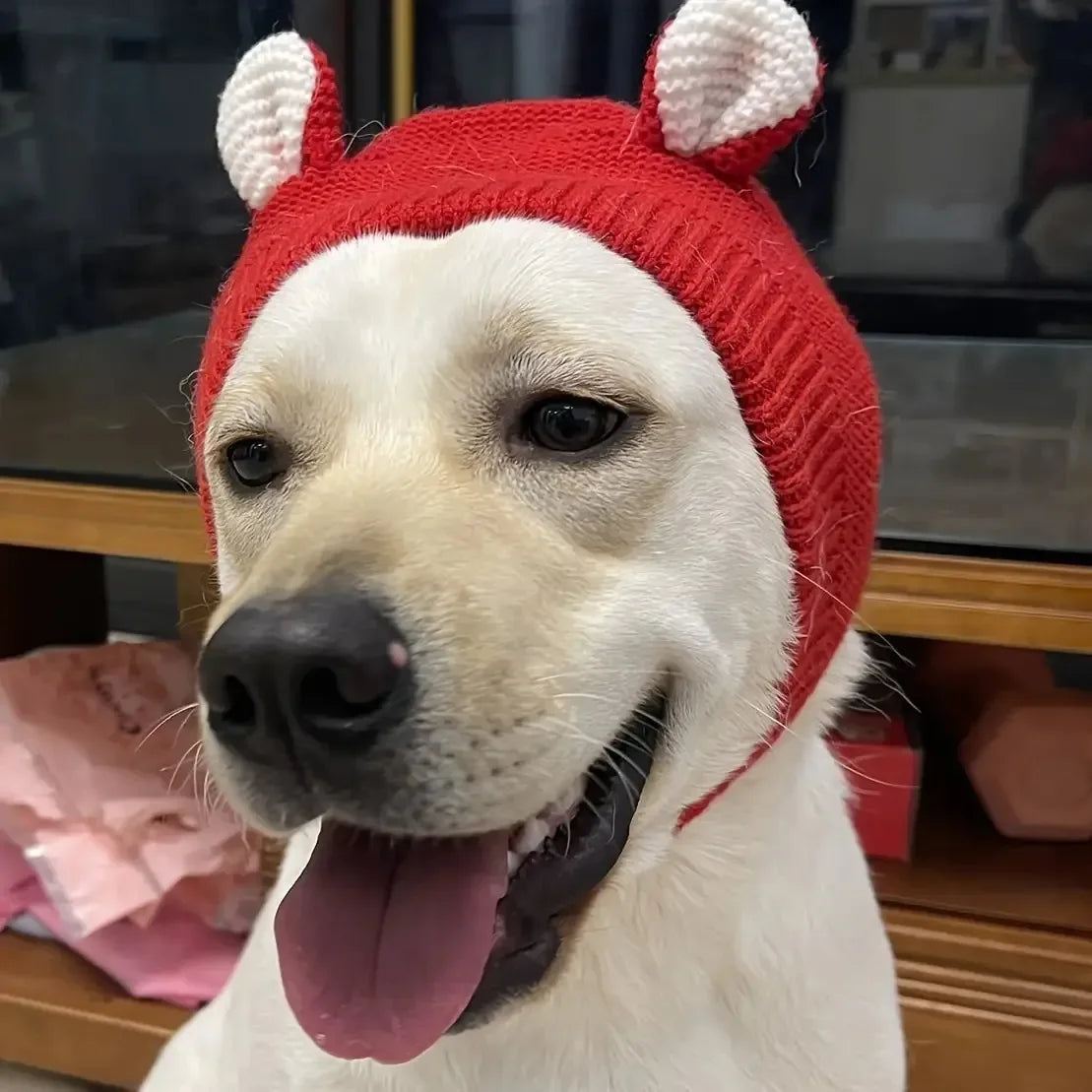 Winter Knitted Pet Hat for Ear Protection and Warmth - 9