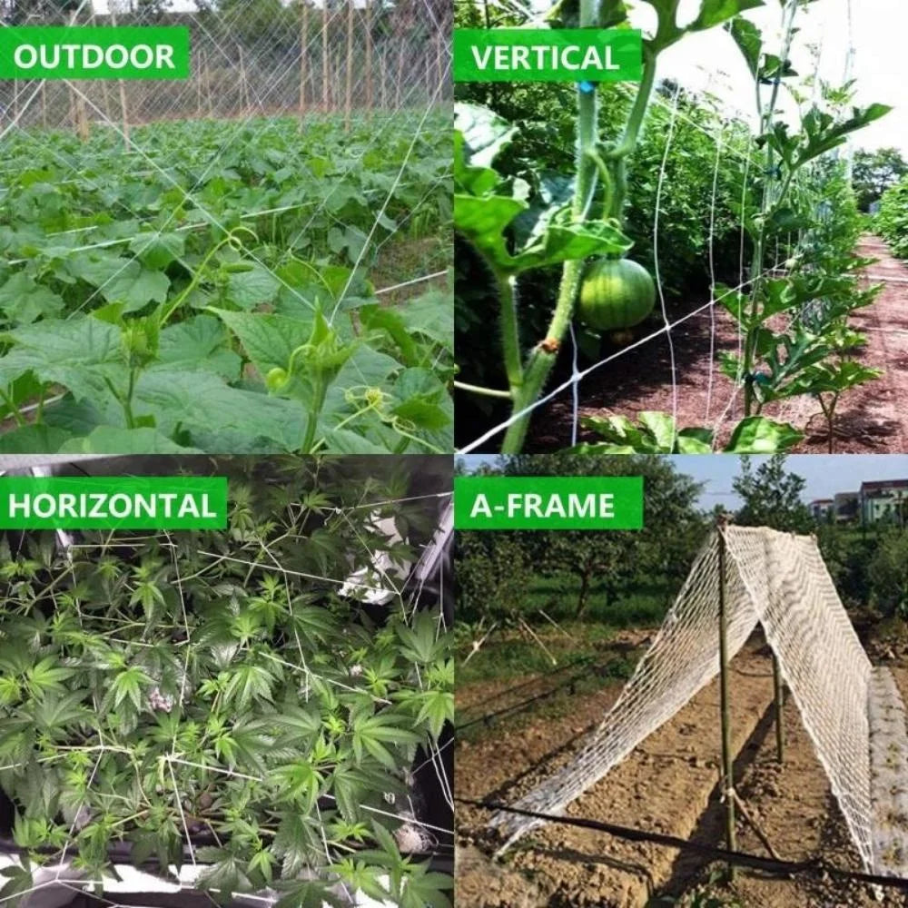 Heavy-Duty Polyester Garden Trellis Netting for Climbing Plants
