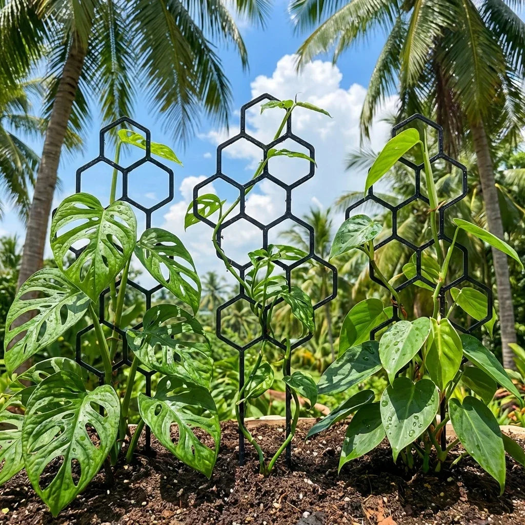 Honeycomb Trellis for Climbing Plants and Flowers