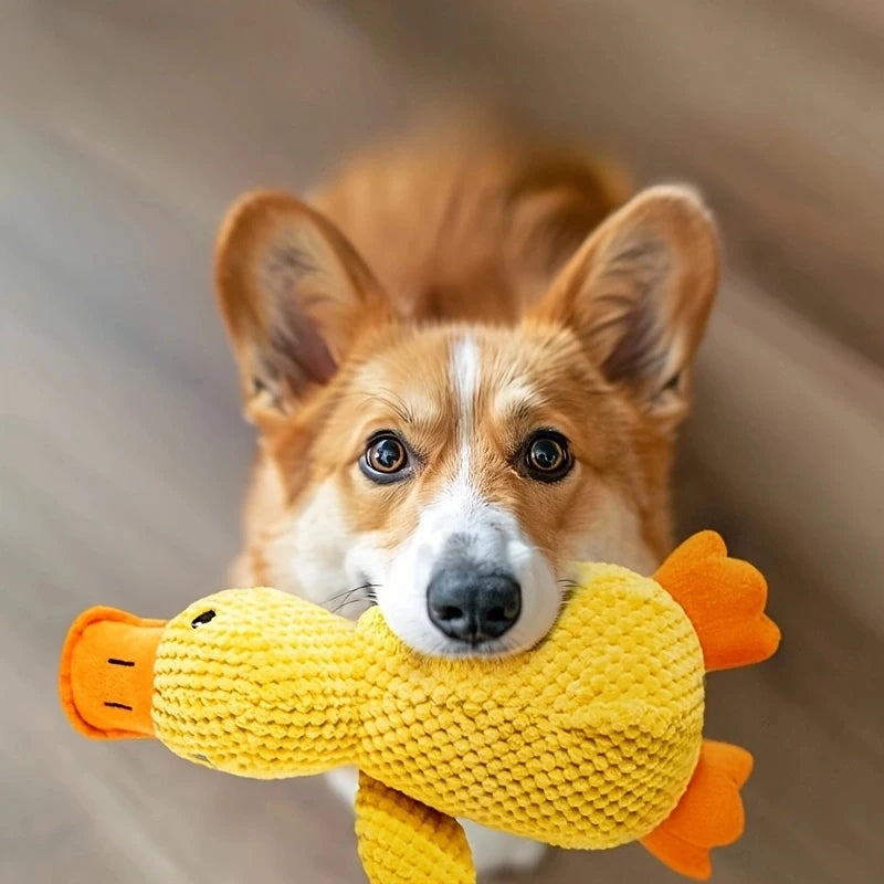 Calming Plush Duck Toy for Dogs - 12