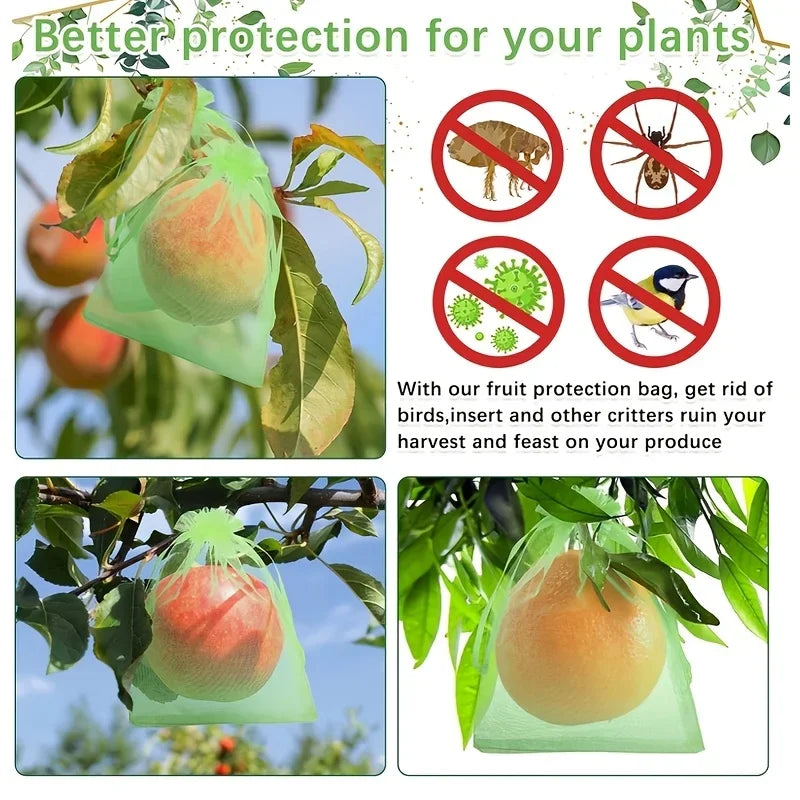 100Pcs Fruit Protection Bags Mesh Garden Barrier for Pest Control - 3