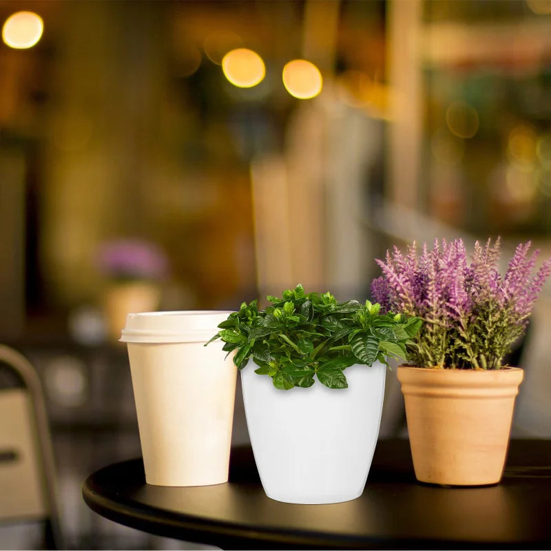 Self-Watering Hanging Wall Planter for Indoor Plants