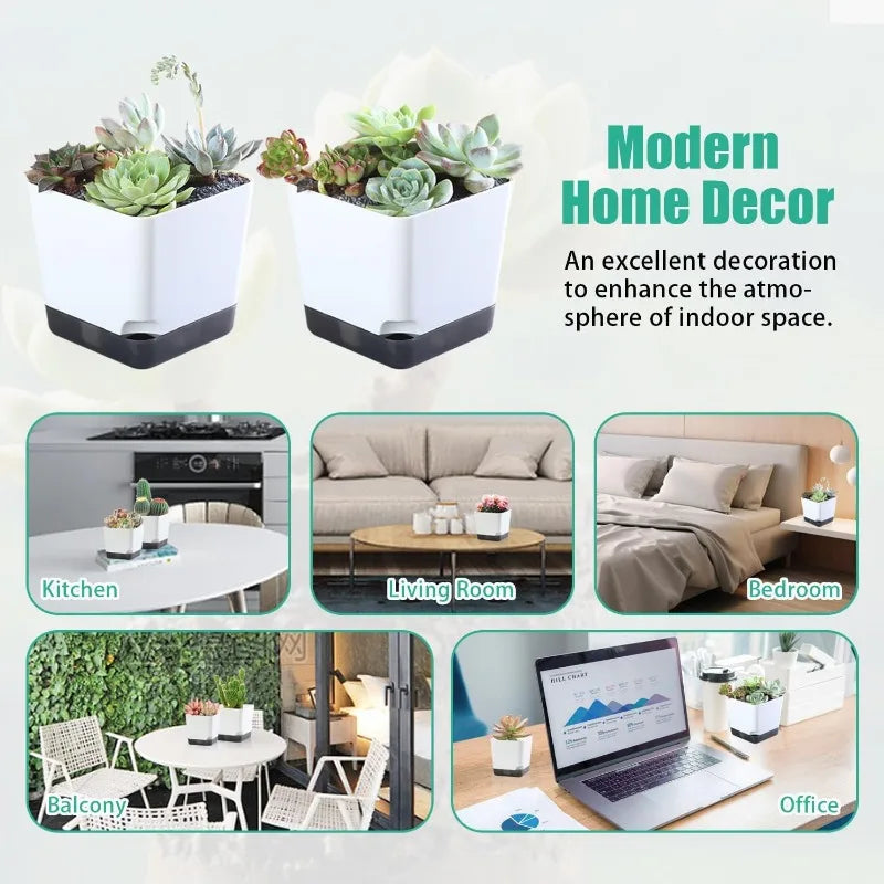 Self-Watering Flower Pots for Indoor and Outdoor Plants