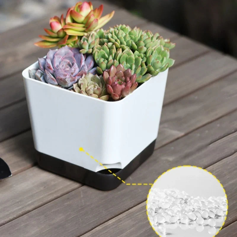 Self-Watering Flower Pots for Indoor and Outdoor Plants - 5