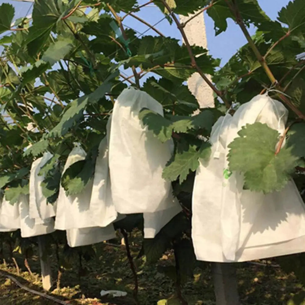 Protective Non-Woven Fruit and Vegetable Garden Bags - 16