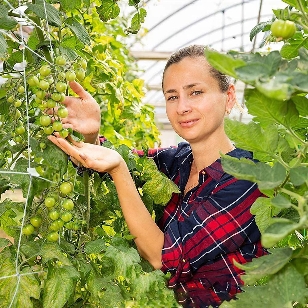 Heavy-Duty Polyester Garden Trellis Netting for Climbing Plants