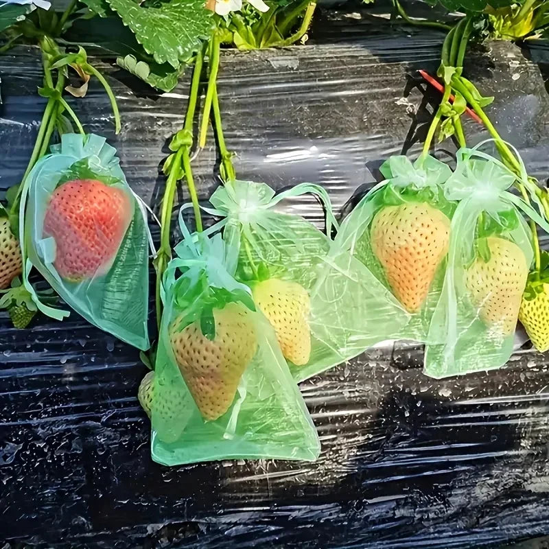 100Pcs Fruit Protection Bags Mesh Garden Barrier for Pest Control