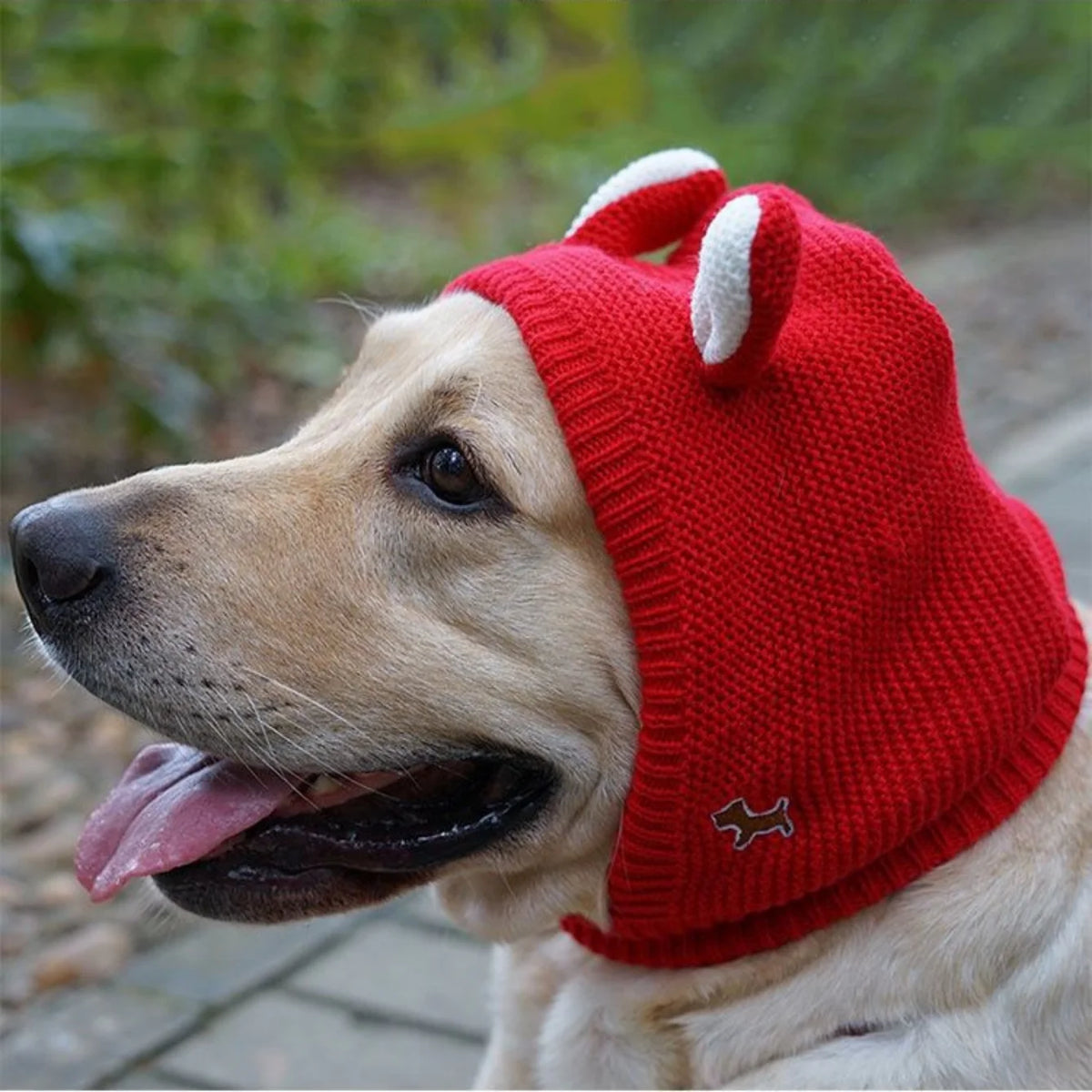 Winter Knitted Pet Hat for Ear Protection and Warmth