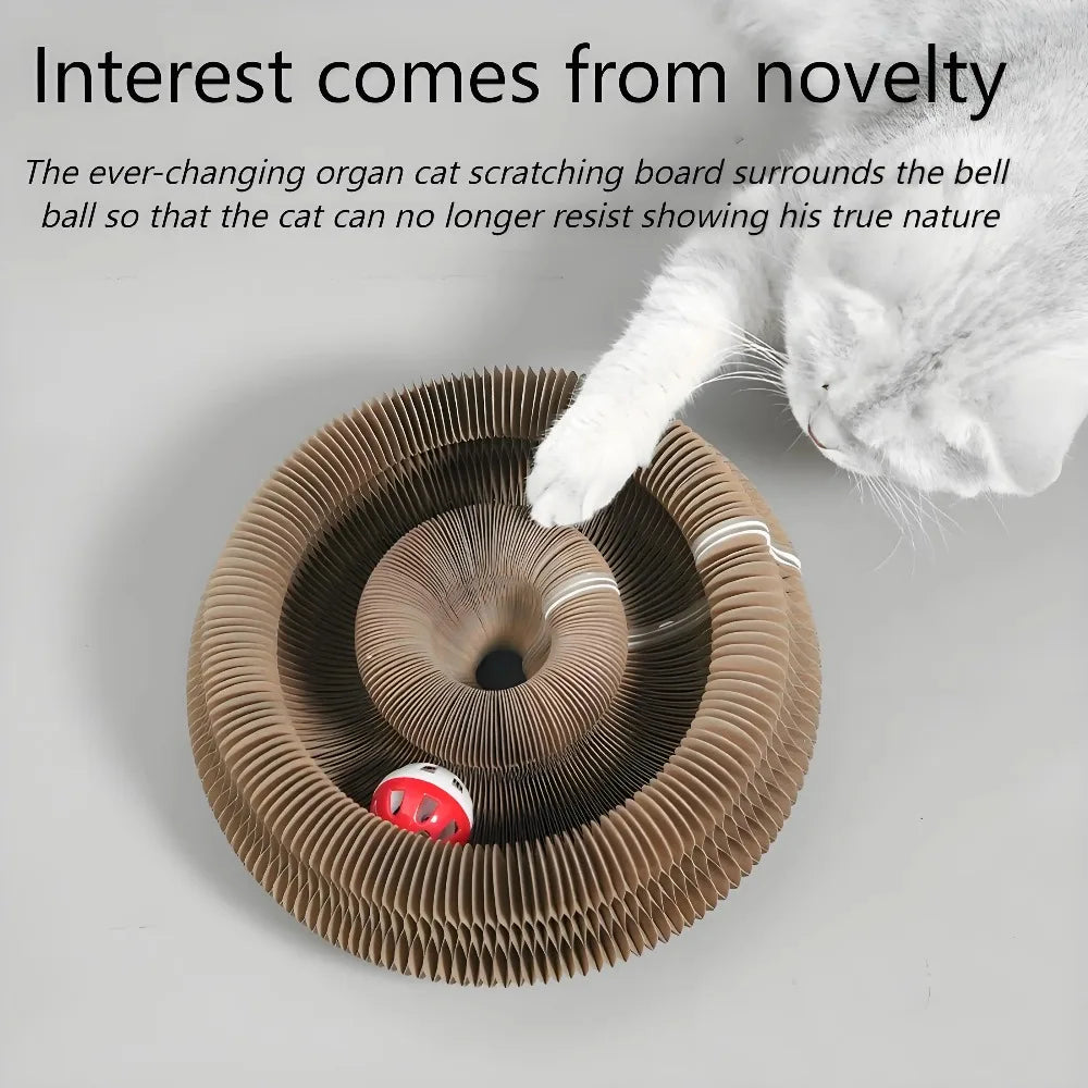 Interactive Foldable Cat Scratching Board with Play Ball - 10