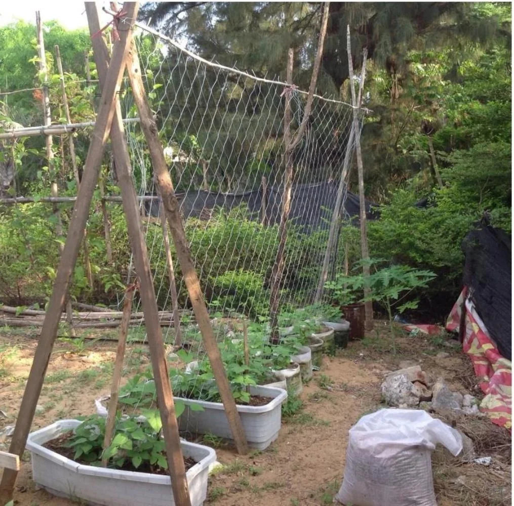 Heavy-Duty Polyester Garden Trellis Netting for Climbing Plants
