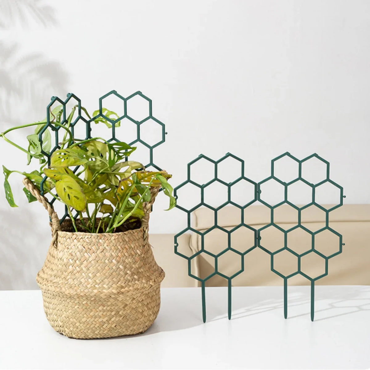 Honeycomb Trellis for Climbing Plants and Flowers