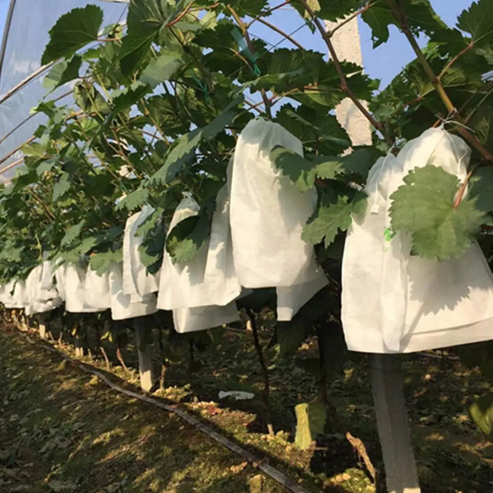 Protective Non-Woven Fruit and Vegetable Garden Bags