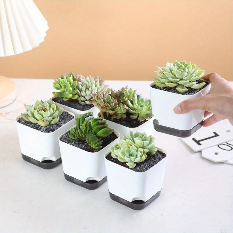 Self-Watering Flower Pots for Indoor and Outdoor Plants - 10