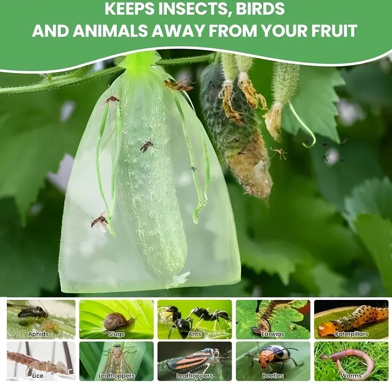 100Pcs Fruit Protection Bags Mesh Garden Barrier for Pest Control - 5