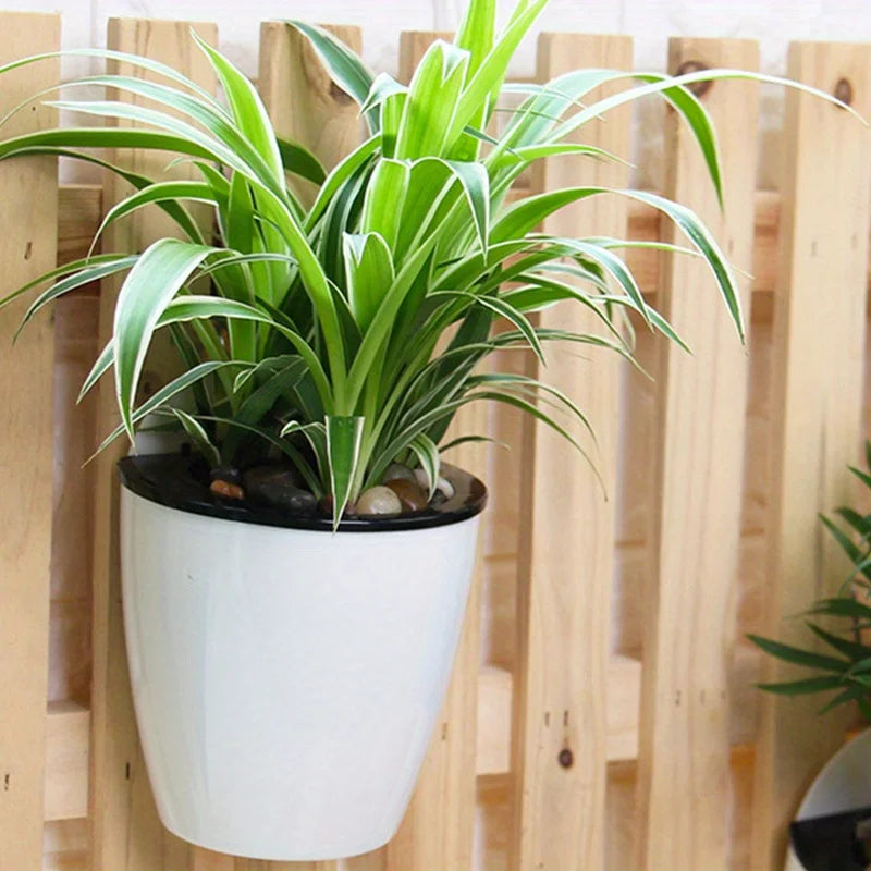 Self-Watering Hanging Wall Planter for Indoor Plants