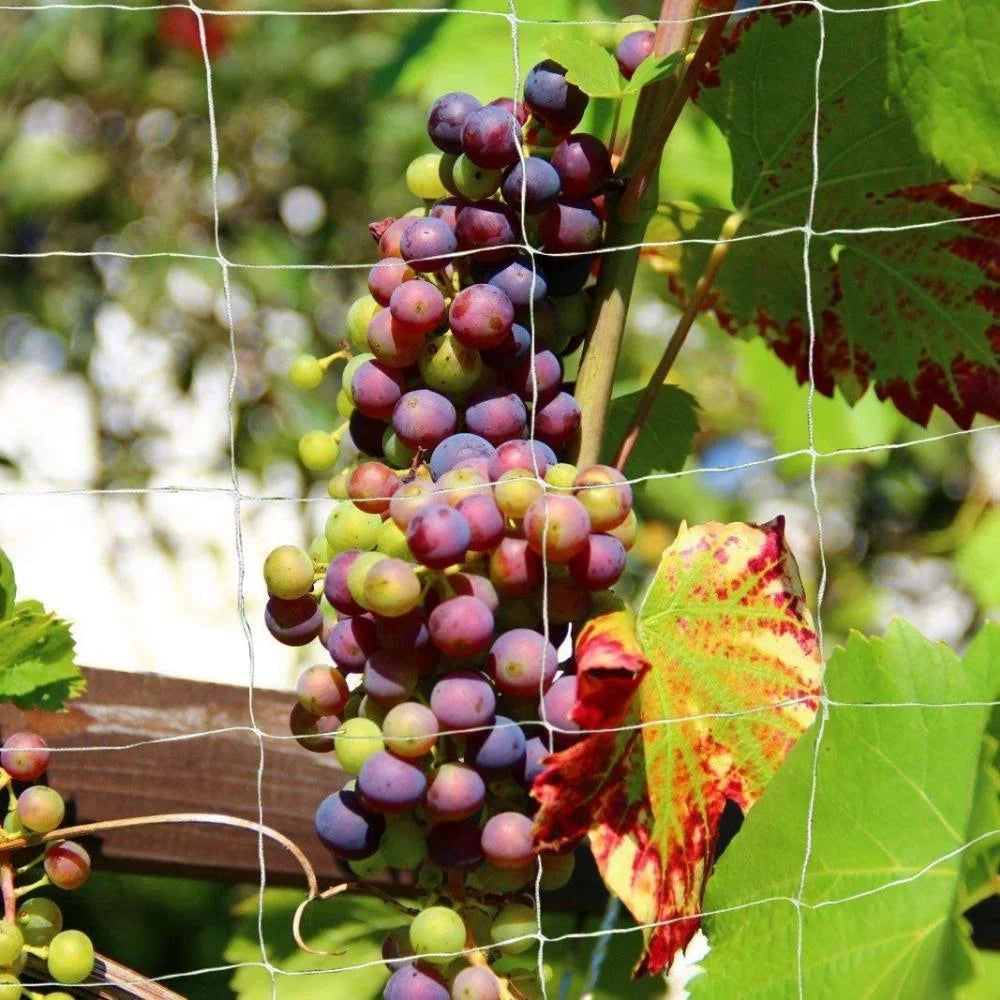 Heavy-Duty Polyester Garden Trellis Netting for Climbing Plants - 8