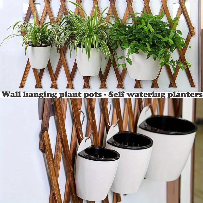 Self-Watering Hanging Wall Planter for Indoor Plants - 3