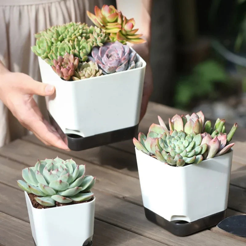 Self-Watering Flower Pots for Indoor and Outdoor Plants - 2