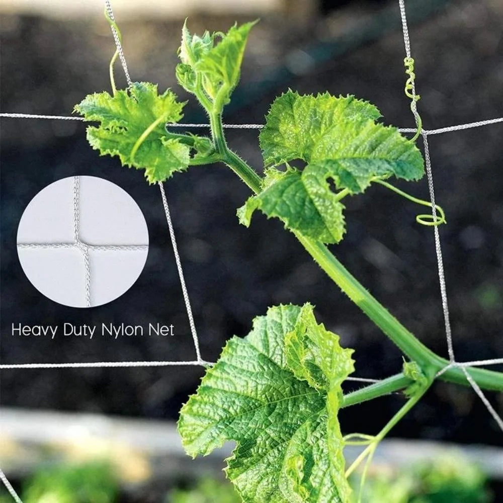 Heavy-Duty Polyester Garden Trellis Netting for Climbing Plants