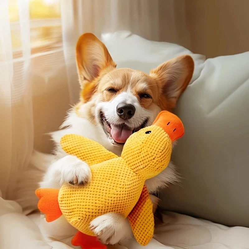 Calming Plush Duck Toy for Dogs - 5