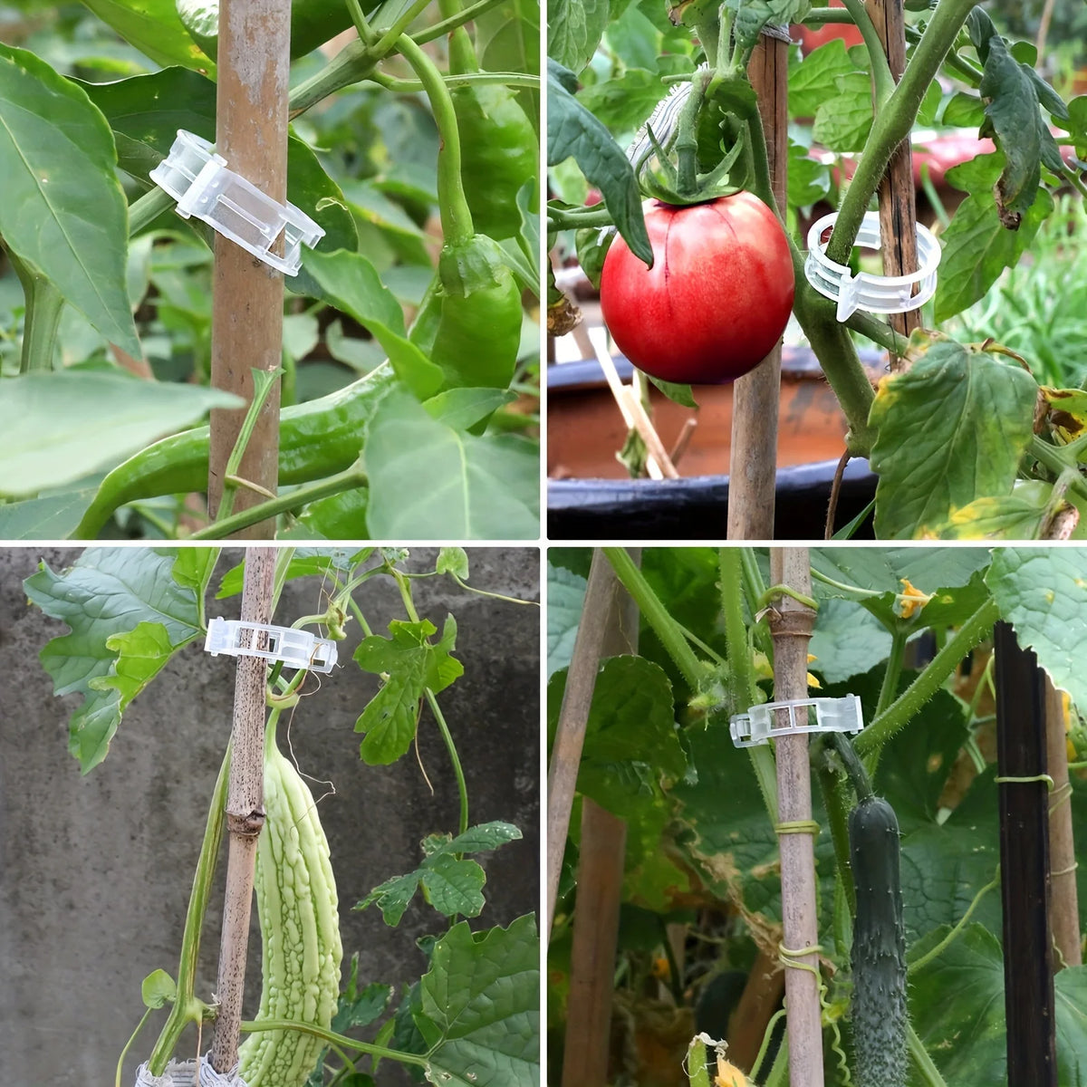 100pcs Plant Support Clips Reusable Garden Vine Trellis Brackets