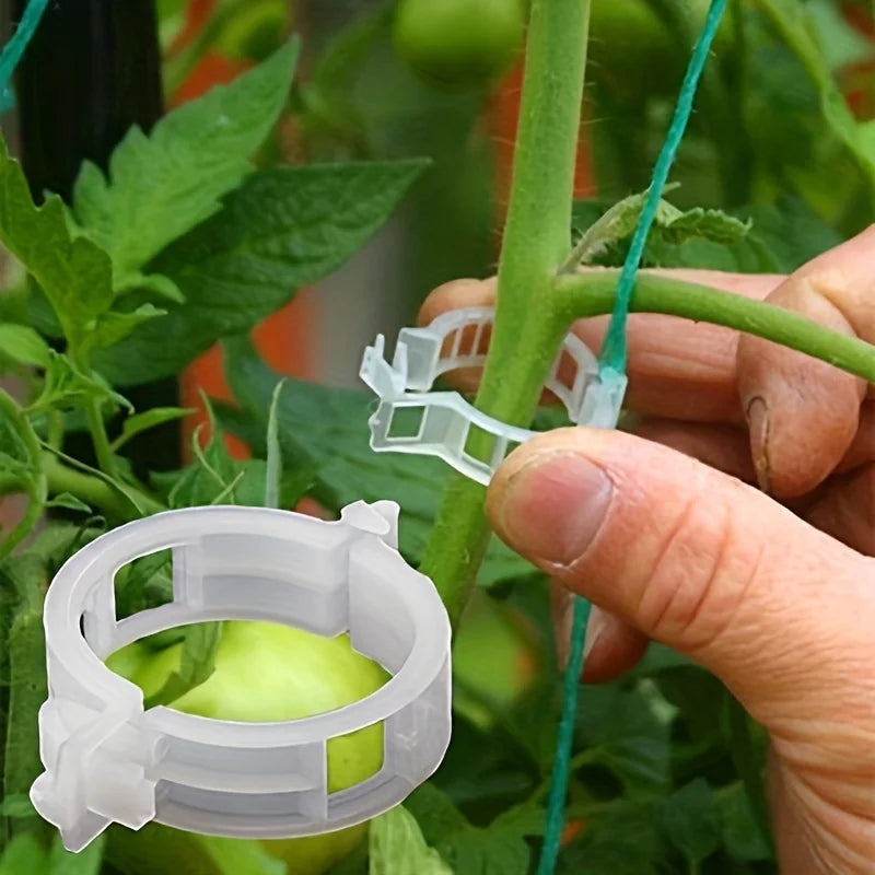 100pcs Plant Support Clips Reusable Garden Vine Trellis Brackets - 2