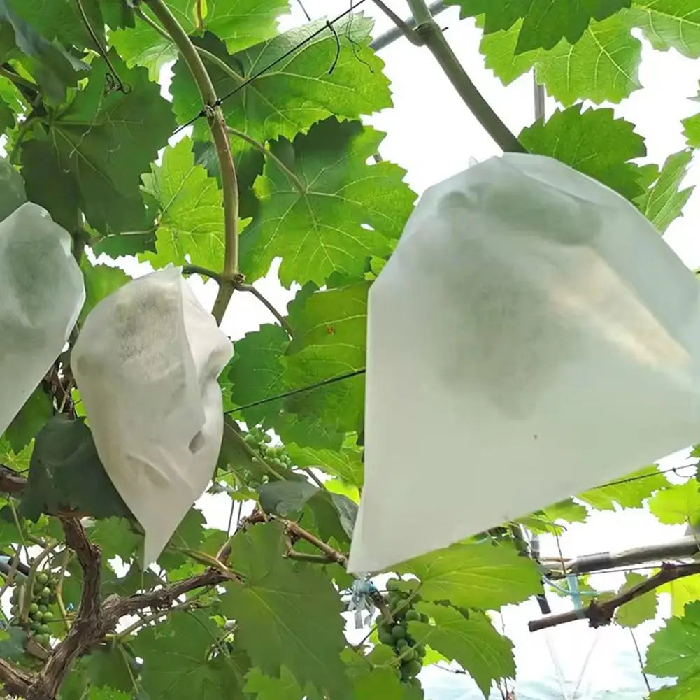 Protective Non-Woven Fruit and Vegetable Garden Bags